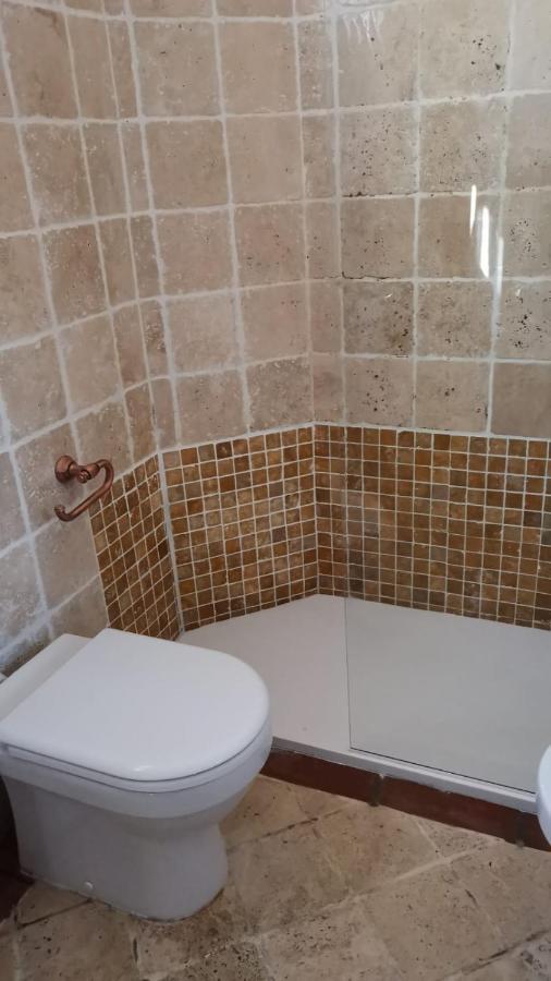 Conce Apartment Pise Extérieur photo